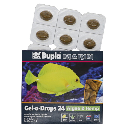 DUPLA Gel-O-Drops 24 Algae & Hemp 12 x 2 gr nourriture en gelée à base de chanvre et algues pour poissons marins