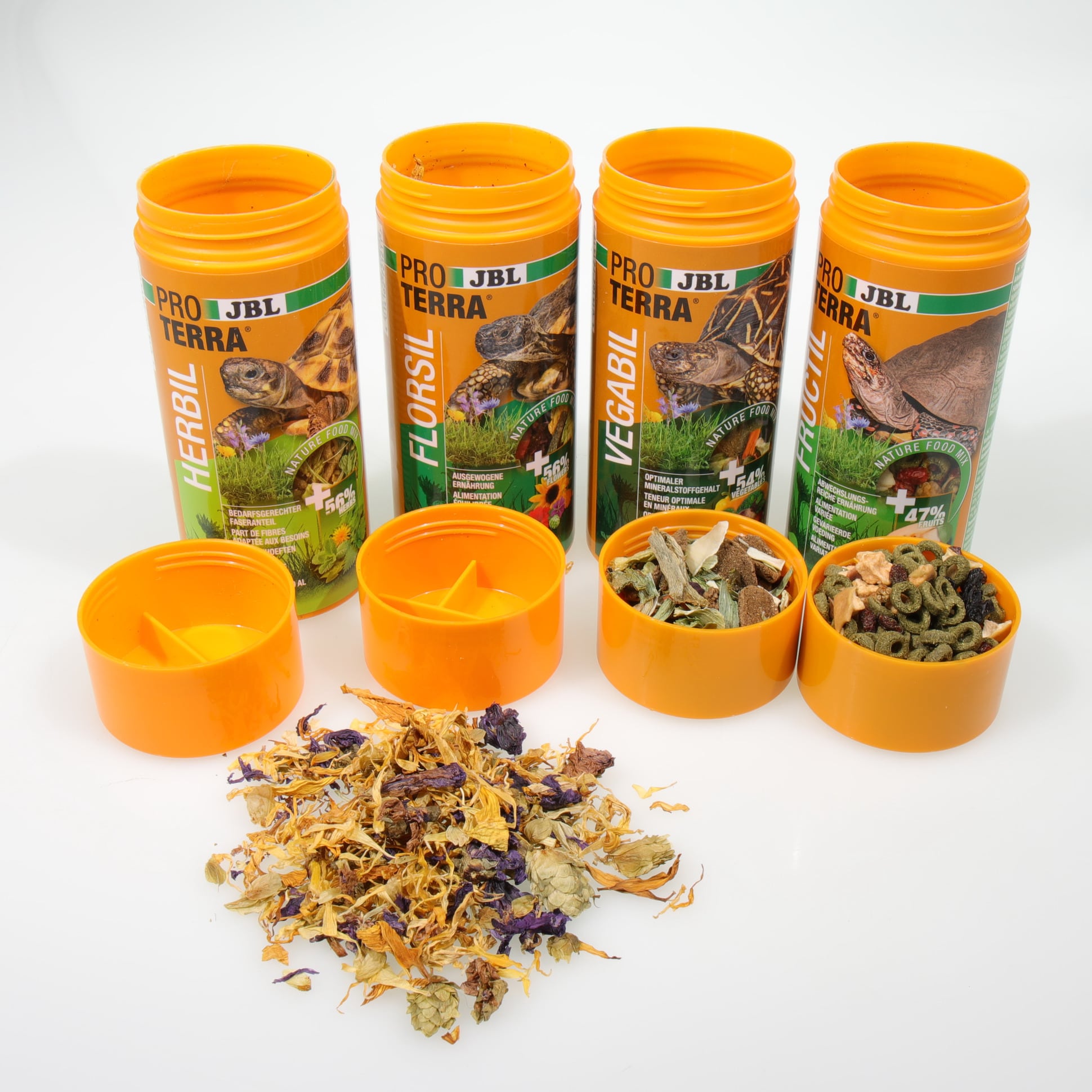 Lot De 19 Sachets De Racines : Tortue - Nacrita - Kostos - Anglaises - France
