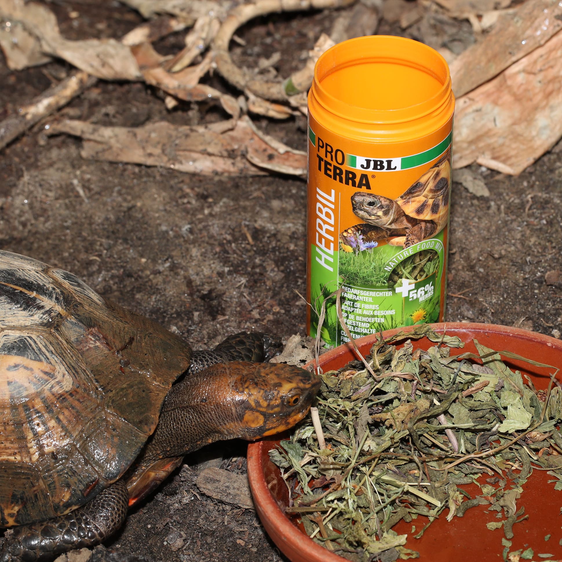 jbl-proterra-herbil-nourriture-de-base-aux-herbes-pour-tortues-terrestres-3-min