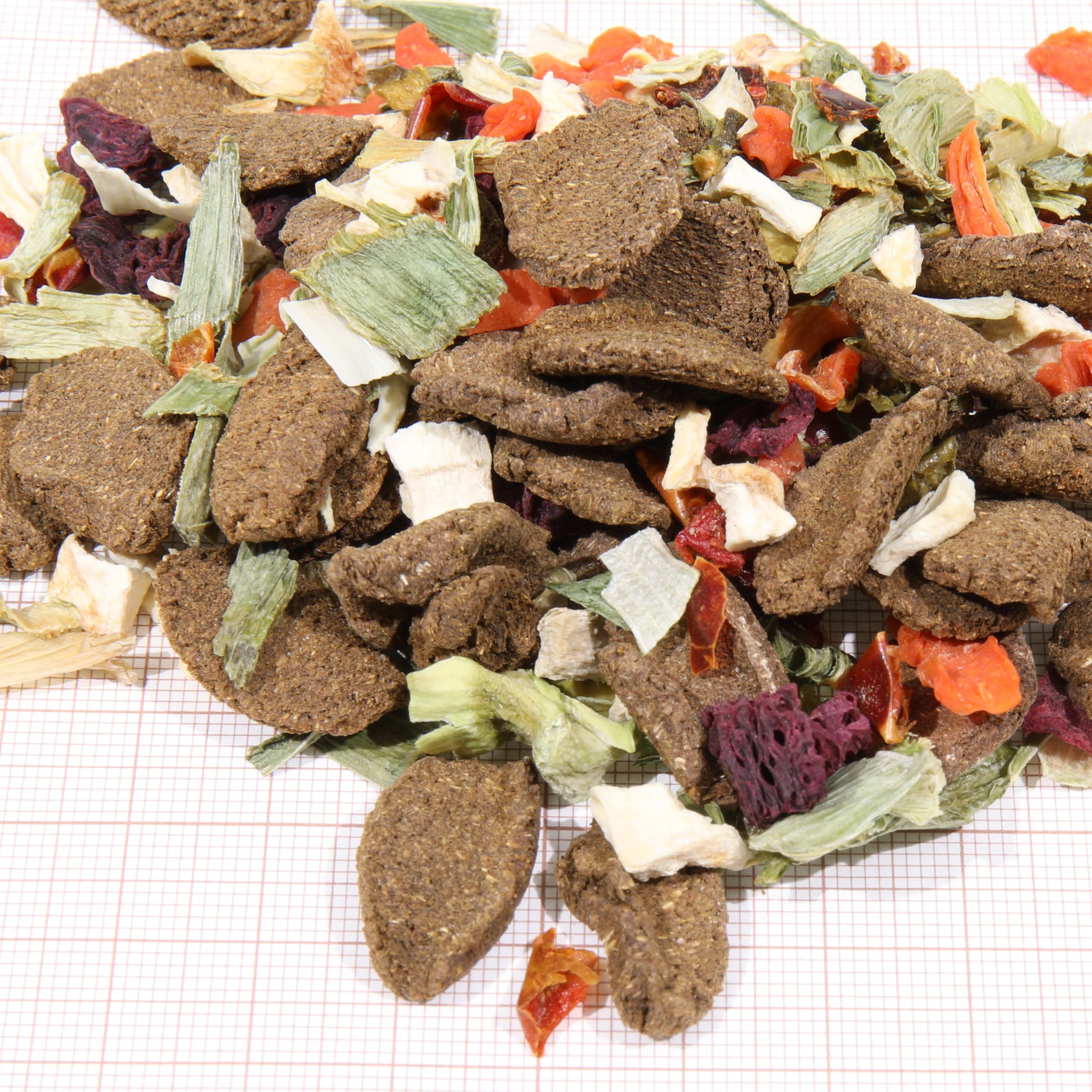 jbl-proterra-vegabil-nourriture-de-base-sous-forme-de-chips-au-legumes-pour-tortues-terrestres-1-min