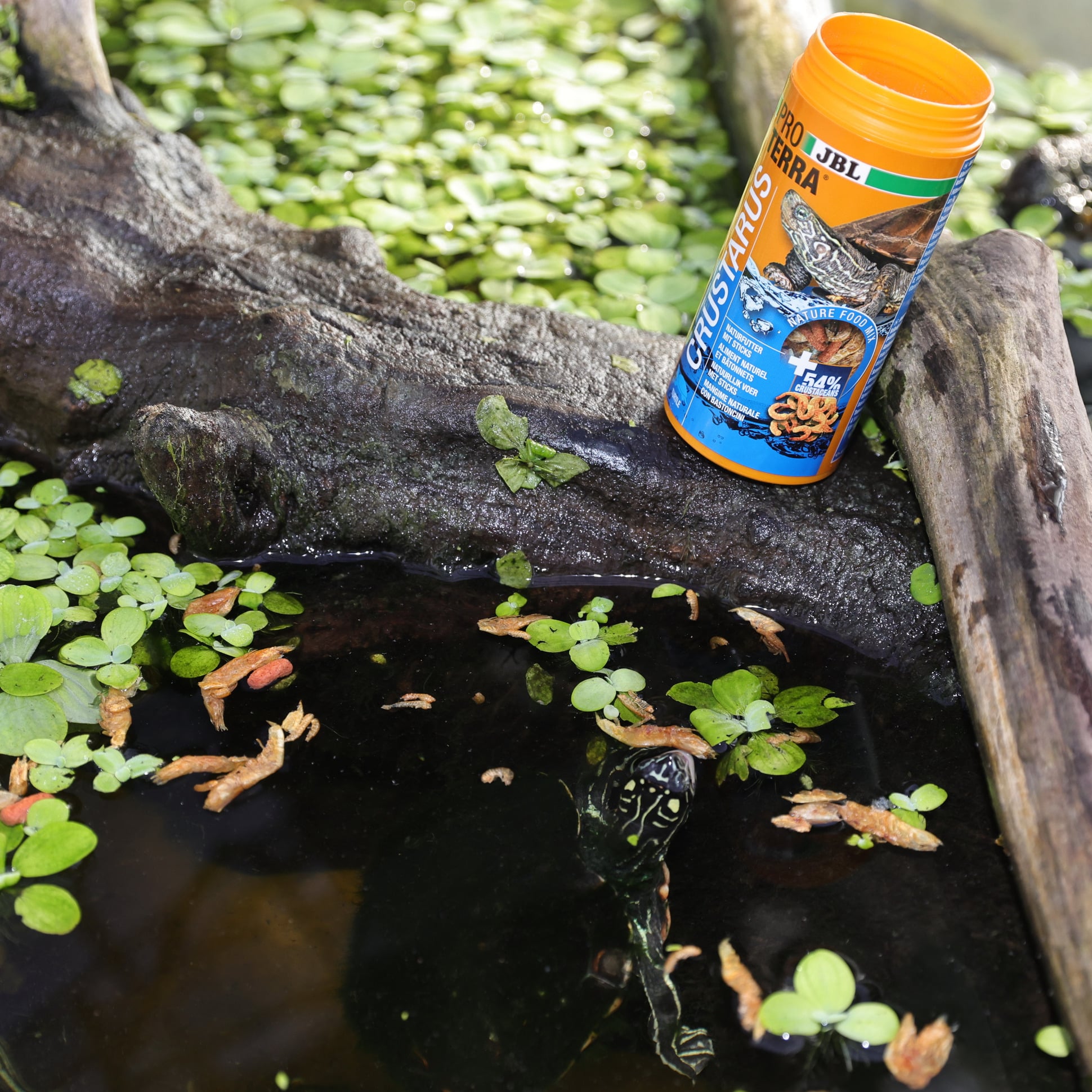 jbl-proterra-crustarus-nourriture-complete-pour-tortues-d-eau-avec-ecrevisses-poissons-crevettes-4-min