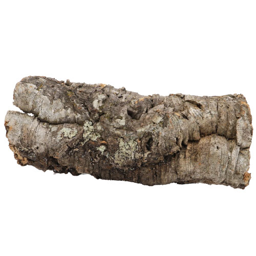 hobby-tube-en-liege-diametre-10-a-15-cm-et-longueur-de-35-a-60-cm-pour-terrarium-1