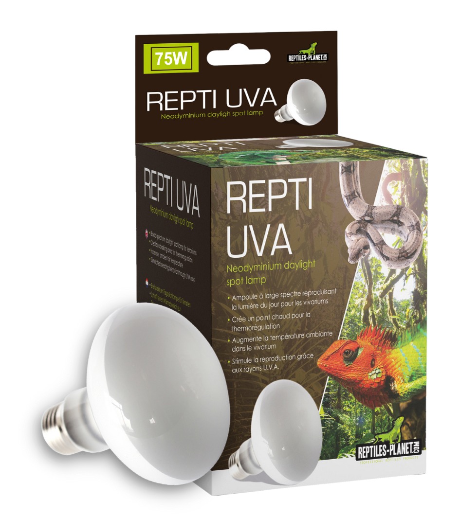 REPTILE PLANET Repti UVA Neodyminium Daylight 75W lampe chauffante pour réptiles