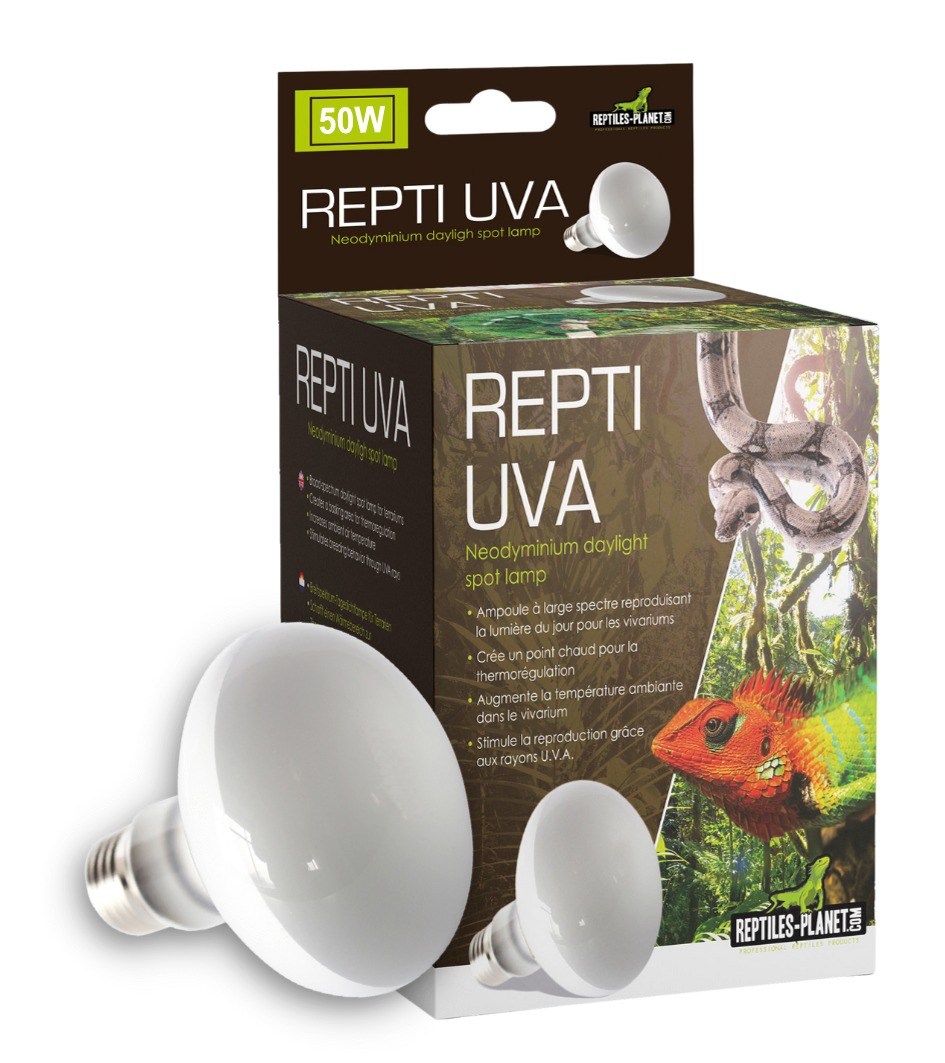 REPTILE PLANET Repti UVA Neodyminium Daylight 50W lampe chauffante pour réptiles