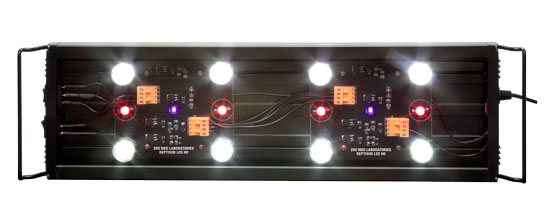 zoomed-reptisun-led-uvb-5-0-terrarium-hood-rampe-d-eclairage-pour-terrarium