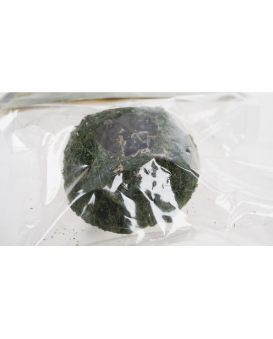 reptiles-planet-repti-moss-ball-support-pour-pots-vita-jelly-2