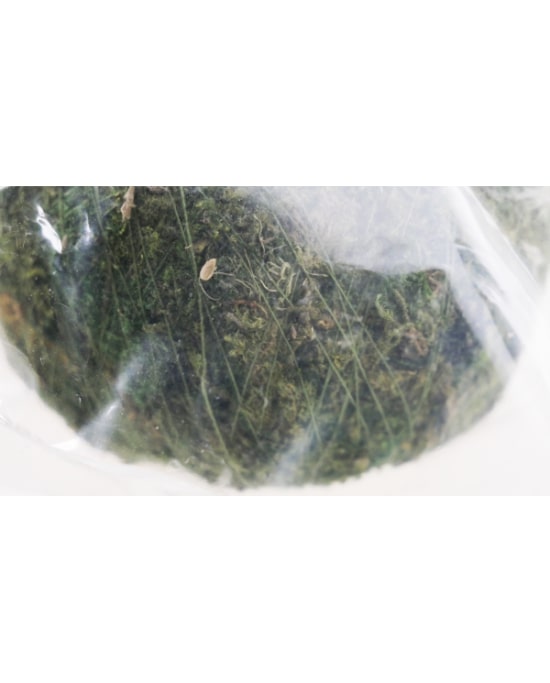 reptiles-planet-repti-moss-ball-support-pour-pots-vita-jelly-1