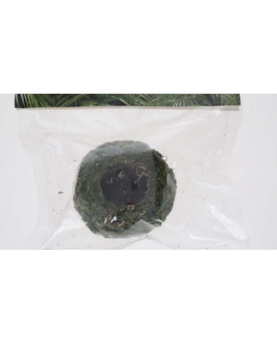 reptiles-planet-repti-moss-ball-support-pour-pots-vita-jelly-4