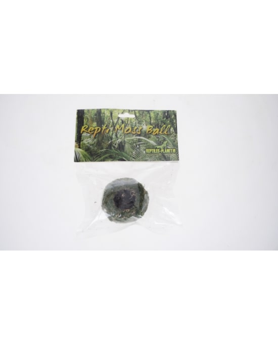 reptiles-planet-repti-moss-ball-support-pour-pots-vita-jelly-3