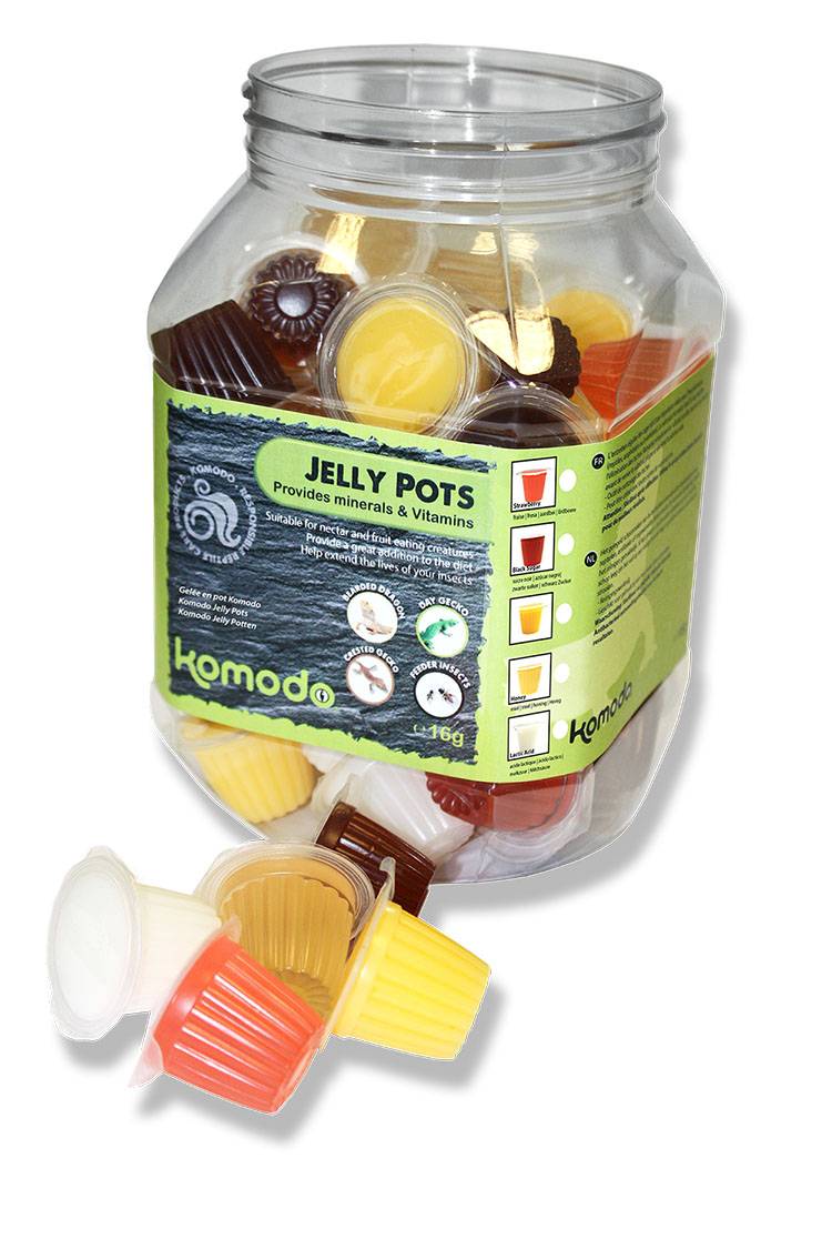 KOMODO Jelly Pots Mixed lot de 60 pots nourriture gélifiée pour grillons et autres insectes