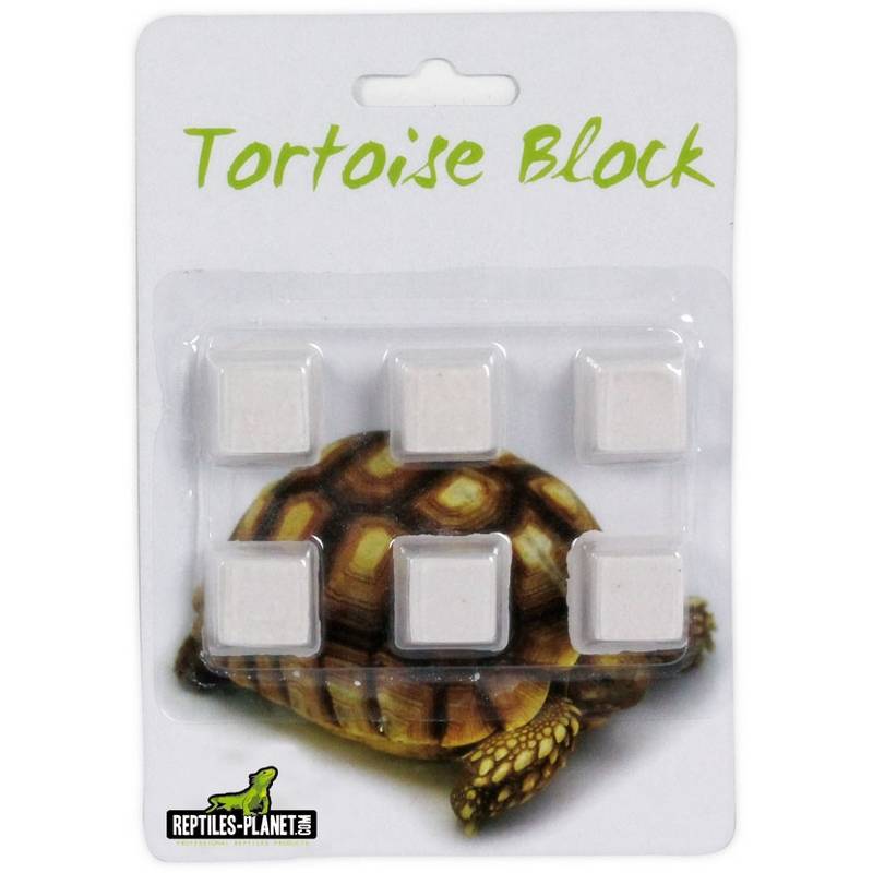 REPTILES PLANET Tortoise Calcium Block lot de 6 blocs de calcium pour Tortues terrestres