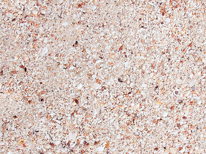 nature-s-ocean-live-reef-substrate-9-07-kg-sable-vivant-1-a-2-5-mm-pour-aquarium-marin-et-recifal-1