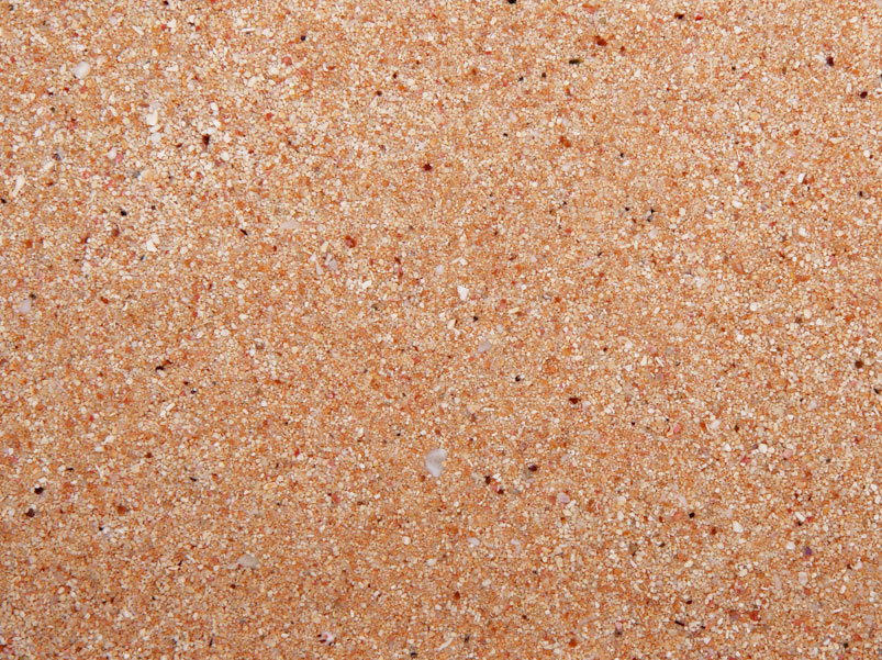 nature-s-ocean-australian-gold-live-sand-9-07-kg-sable-vivant-0-5-a-1-7-mm-pour-aquarium-marin-et-recifal-1