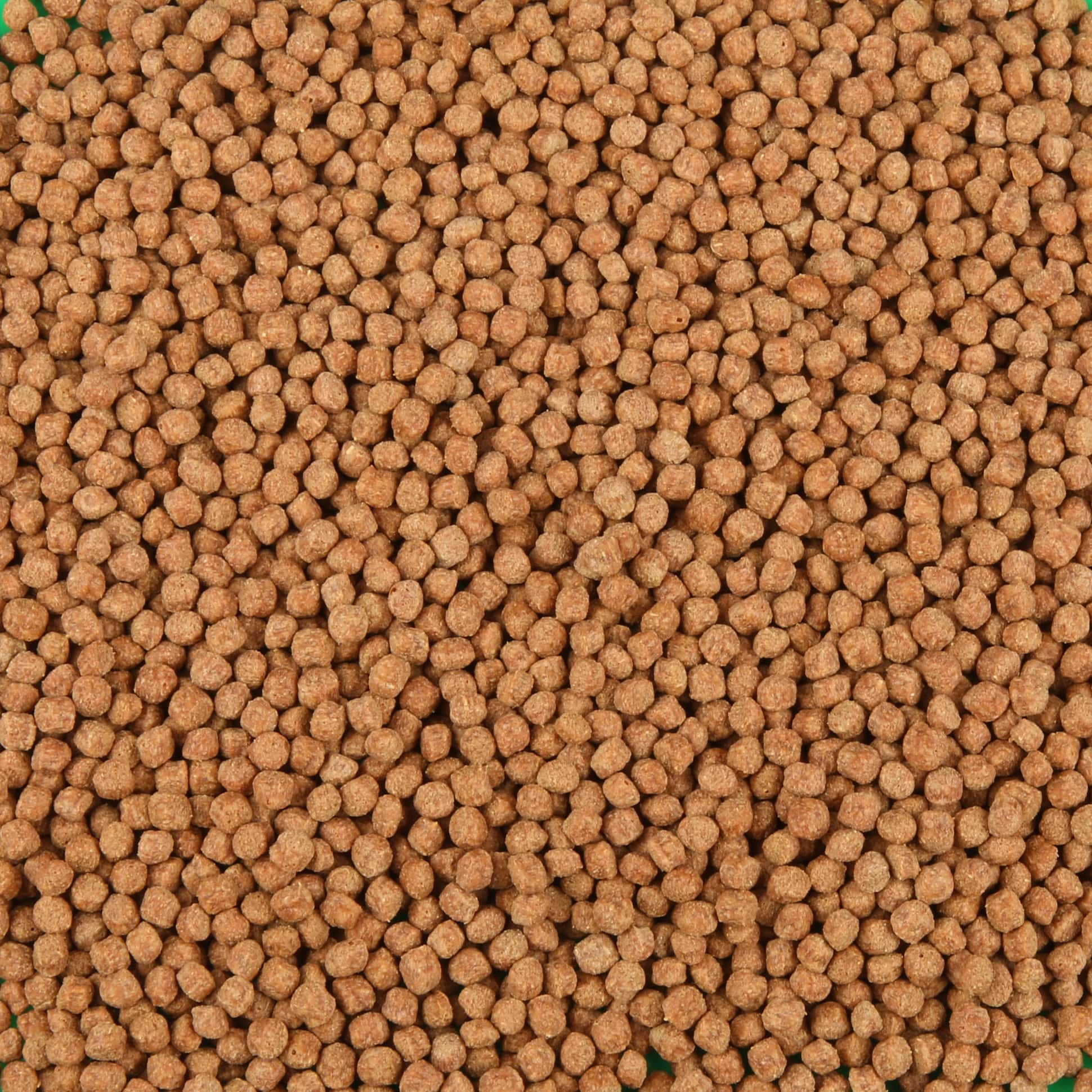 jbl-propond-color-s-1-l-nourriture-kois-speciale-renforcement-des-couleurs-sous-forme-de-perles-pour-poissons-de-15-a-35-cm-1-min