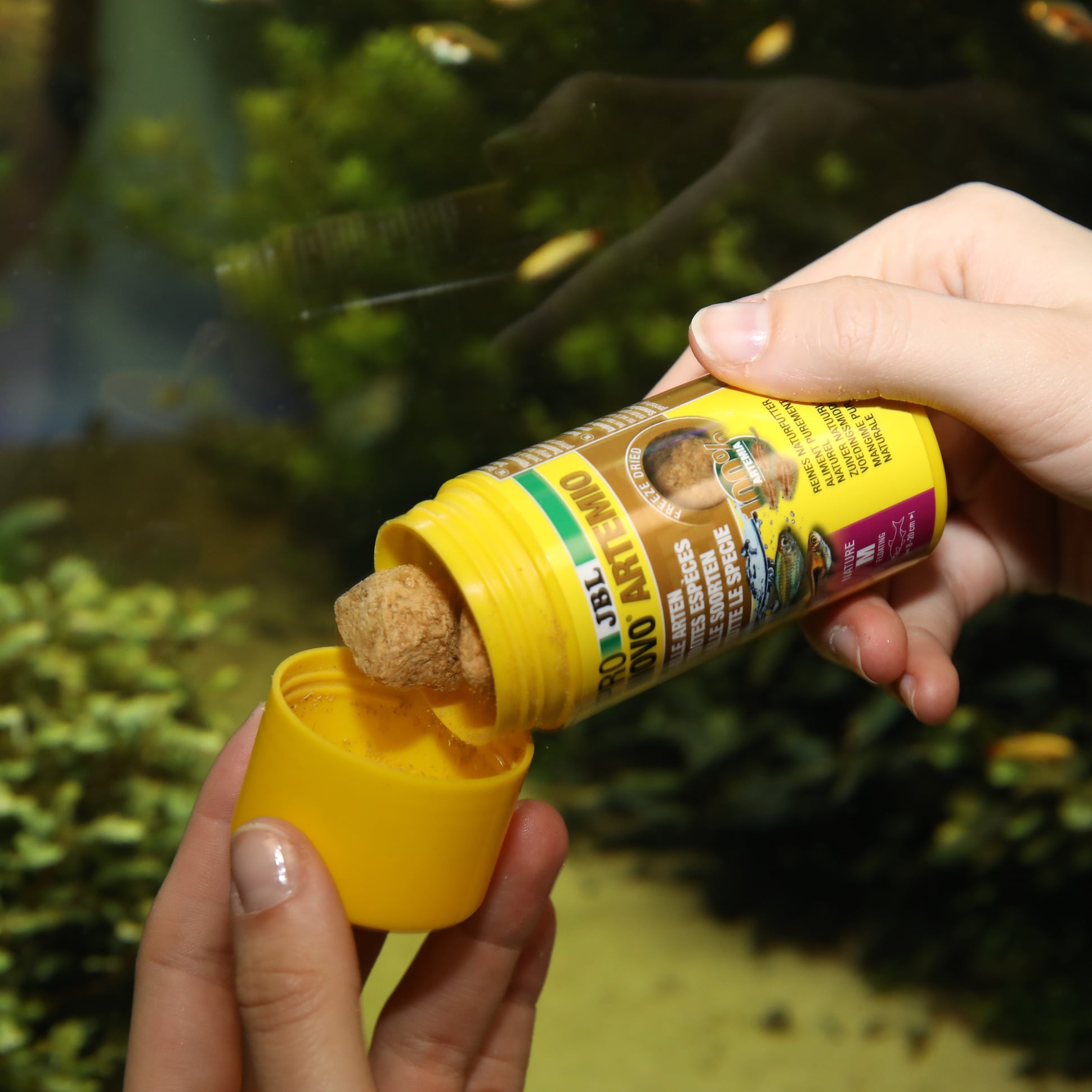 jbl-pronovo-artemio-artemias-lyophilises-pour-poissons-de-8-a-20-cm-4-min