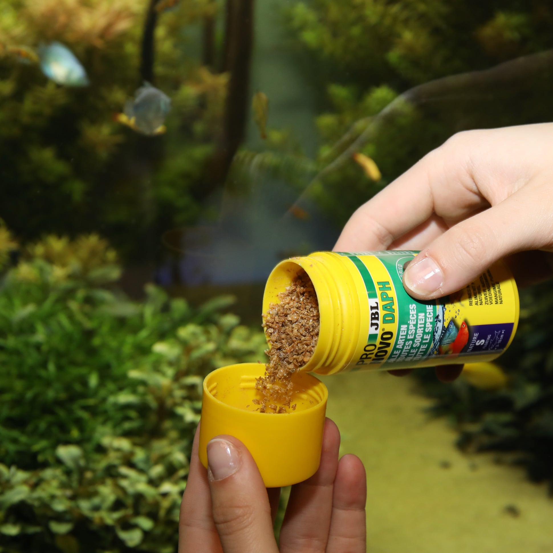 jbl-pronovo-daph-100-ml-daphnies-sechees-pour-poissons-de-5-a-10-cm-4-min
