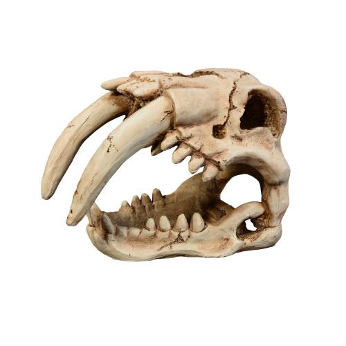 aquavie-r-terra-ratich-15-x-9-5-x-11-cm-decoration-resine-crane-de-dinosaure-pour-terrarium
