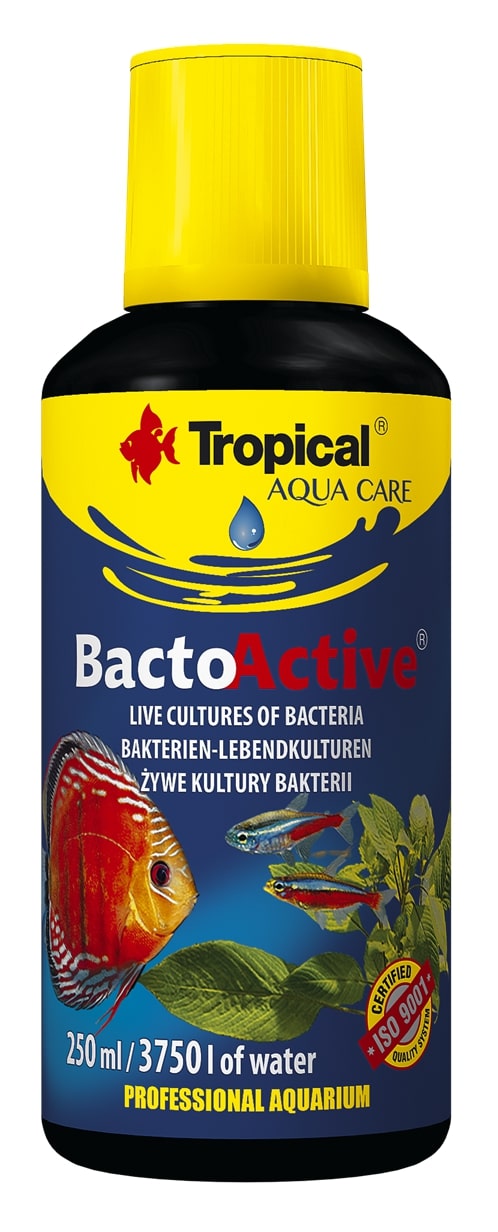 TROPICAL Bacto Active 250 ml bactéries dénitrifiantes pour le démarrage des aquariums d\'eau douce et d\'eau de mer