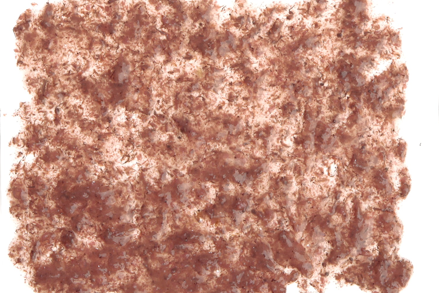 tetra-freshdelica-brine-shrimps-nourriture-en-gelee-a-base-d-artemias-pour-tous-les-poissons-1