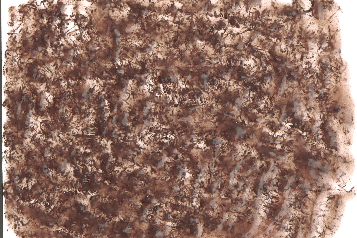 tetra-freshdelica-bloodworms-nourriture-en-gelee-a-base-de-larves-de-moustiques-pour-tous-les-poissons-1