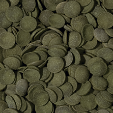 tropical-green-algae-wafers-pastilles-vegetales-descendantes-pour-mangeurs-d-algues-avec-spirulina