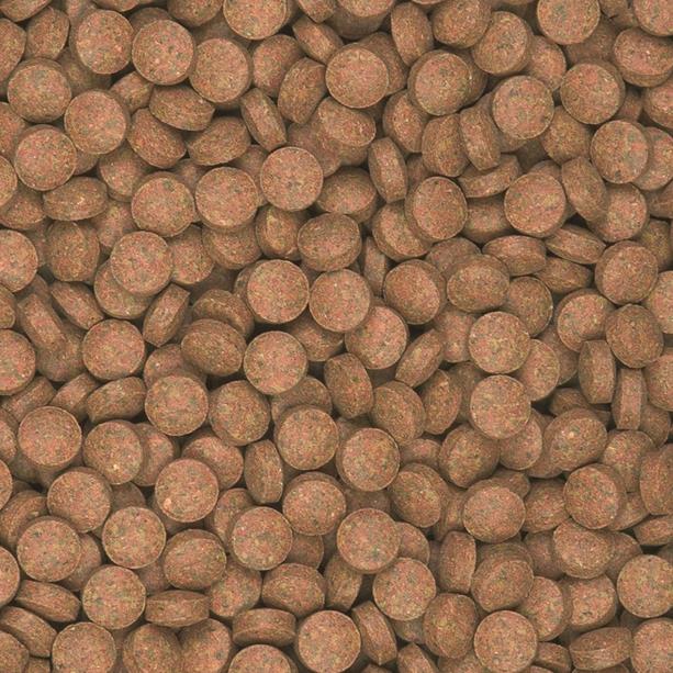 tropical-supervit-tablets-b-aliment-tablettes-pour-poissons-de-fond-riches-en-proteines-avec-beta-glucan