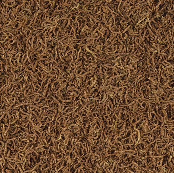 tropical-red-mico-100ml-vers-de-sang-lyophilises-pour-poissons-omnivores-et-carnivores-1