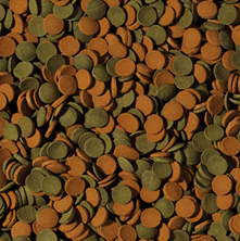 tropical-mini-wafers-mix-100ml-pastilles-descendantes-avec-spirulina-pour-crustaces-et-poissons-de-fond-1