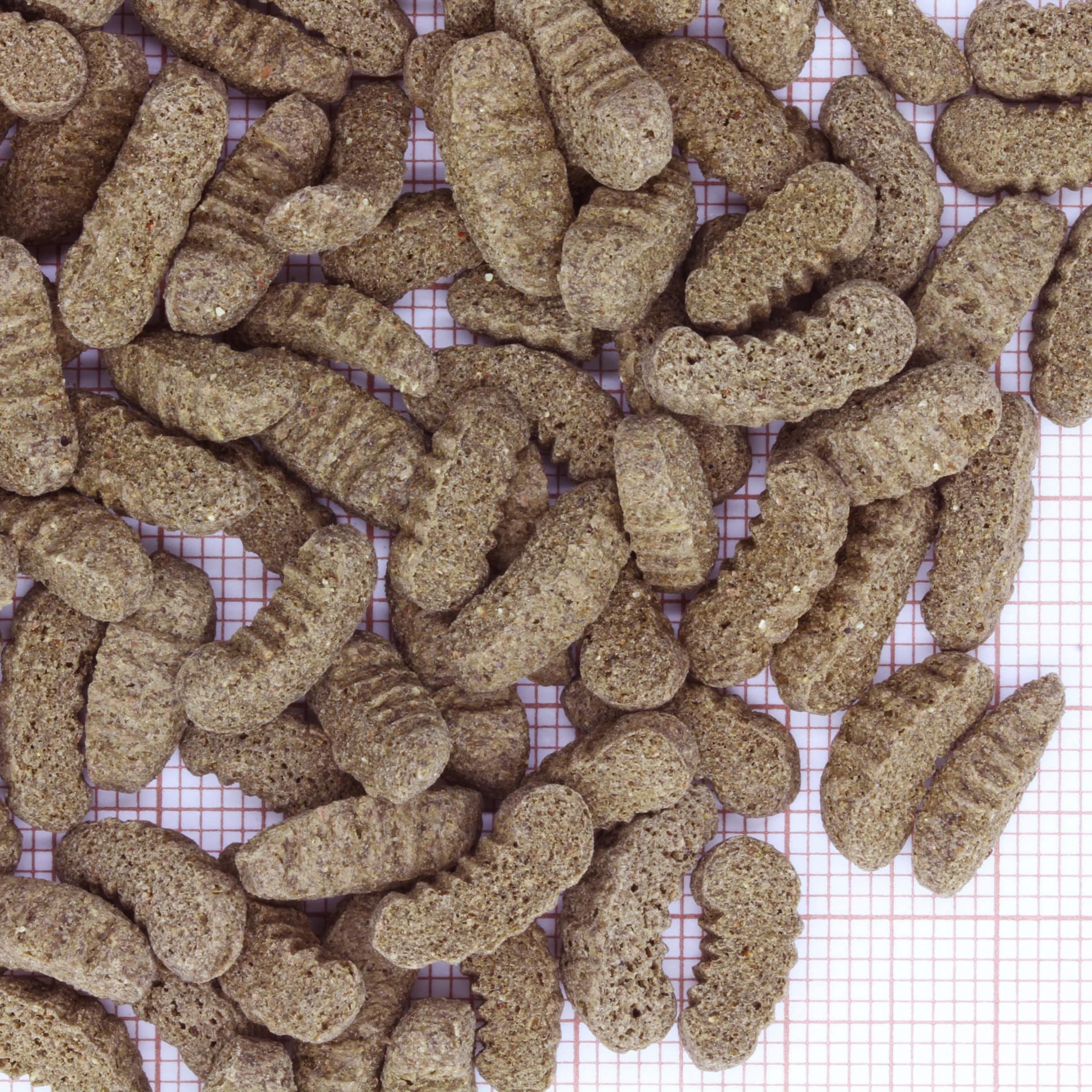 jbl-propond-silkworms-m-0-34-kg-friandises-a-base-de-vers-a-soie-pour-kois-de-35-a-55-cm-1-min