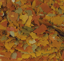 tropical-goldfish-color-flakes-nourriture-en-flocons-pour-poissons-rouges-et-jeunes-kois
