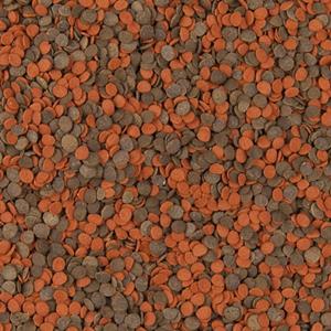 tropical-cichlid-chips-nourriture-rehaussant-la-couleur-pour-cichlides