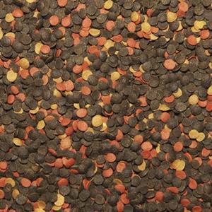 tropical-malawi-chips-nourriture-sous-forme-de-petites-chips-pour-cichlides-malawi-et-autres-cichlides-herbivores