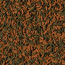 cichlid-red-green-medium-sticks-100_1480333367