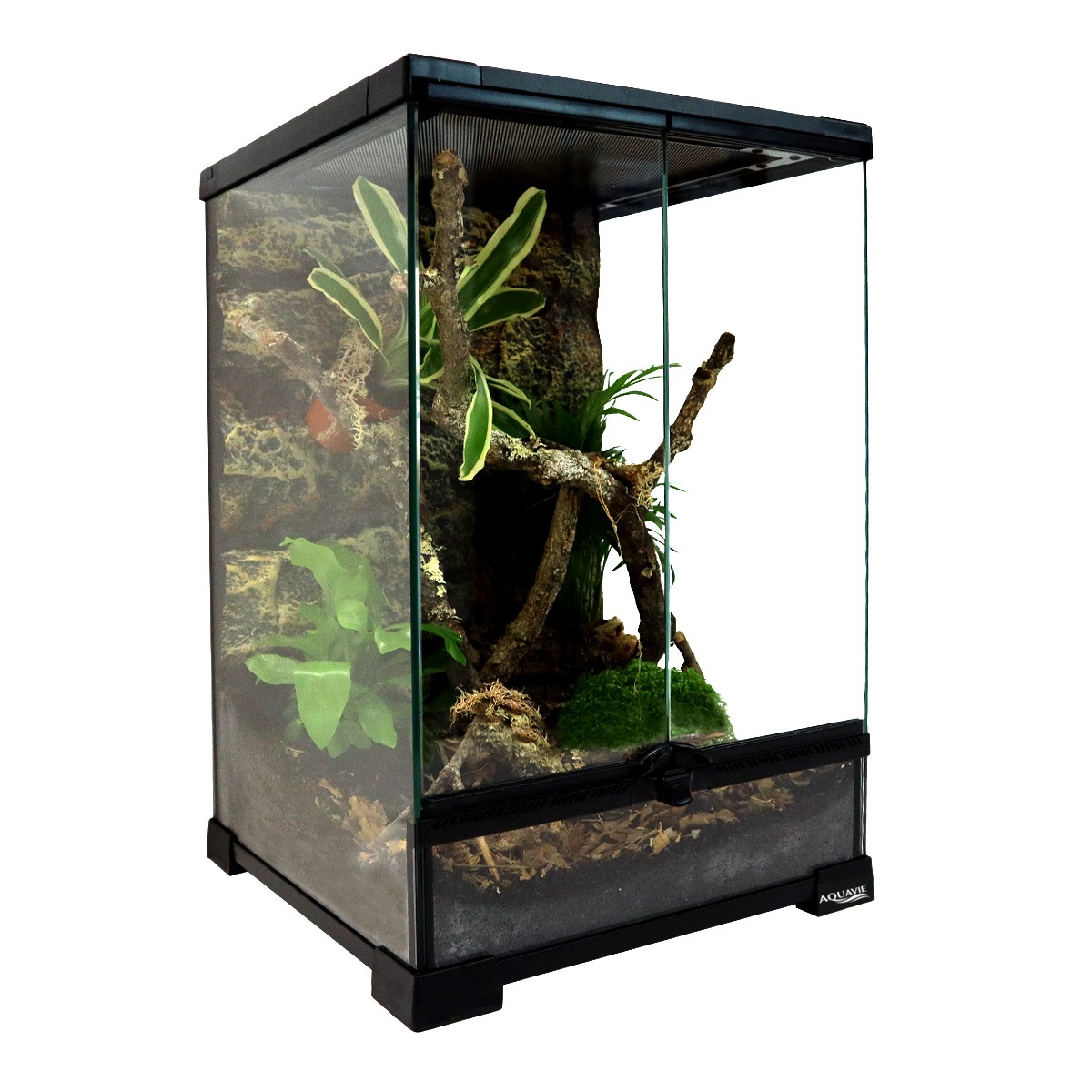 aquavie-terrarium-verre-une-porte-30-x-30-x-45-cm-a-fond-etanche-5
