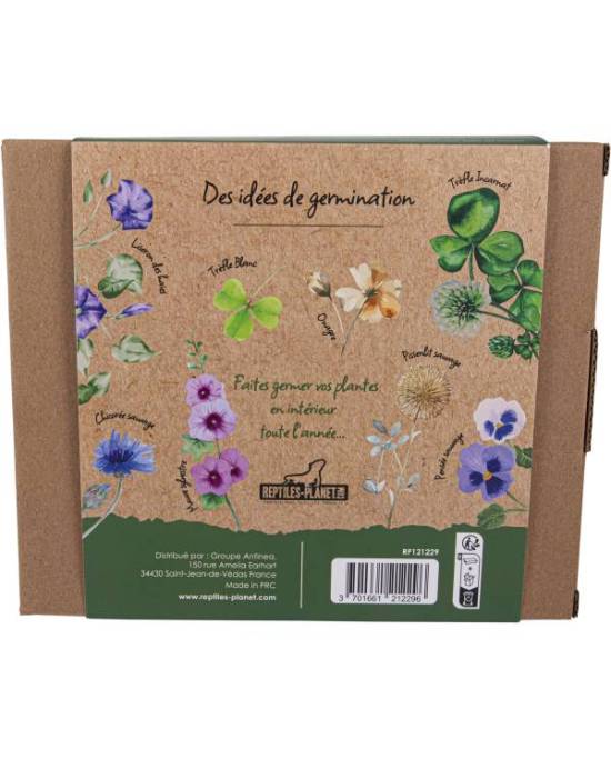 reptiles-planet-repti-serre-mini-serre-de-germination-pour-graines-a-tortues-terrestres-et-autres-2