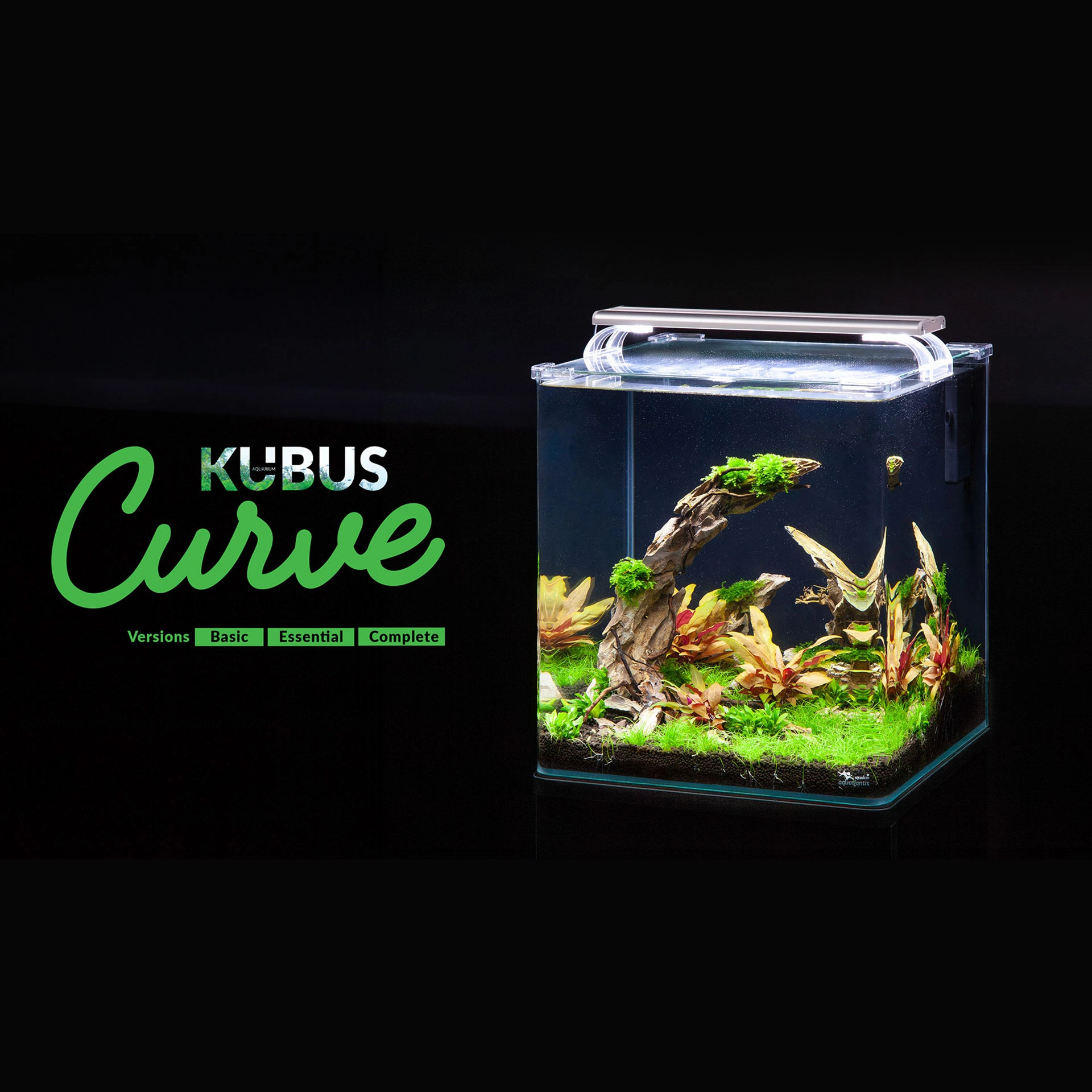 aquatlantis-kubus-curve