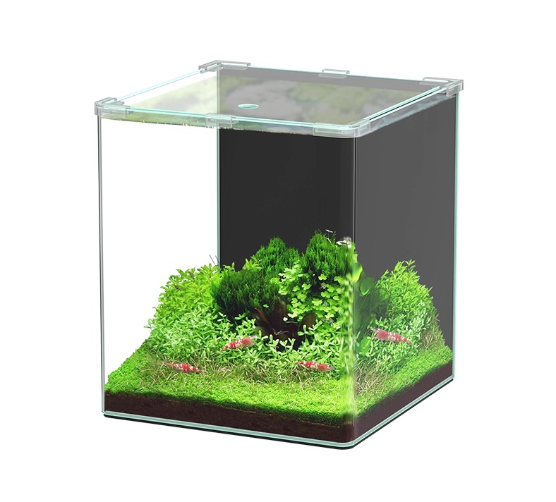 AQUATLANTIS Kubus Curve 30 L Basic cuve nue 30 x 30 x 38 cm bords arrondis et couvercle