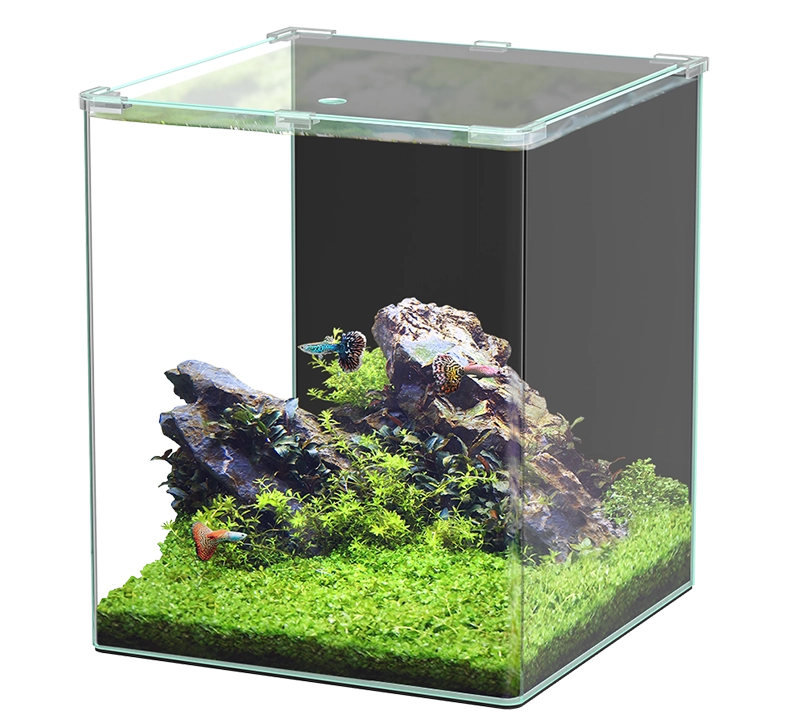 AQUATLANTIS Kubus Curve 65 L Basic cuve nue 38 x 38 x 45 cm bords arrondis et couvercle
