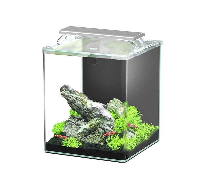 AQUATLANTIS Kubus Curve 20 L Essential nano-aquarium 26 x 26 x 30 cm bords arrondis, éclairage LEDs, filtre et couvercle