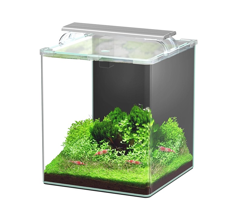 AQUATLANTIS Kubus Curve 30 L Essential nano-aquarium 30 x 30 x 38 cm bords arrondis, éclairage LEDs, filtre et couvercle