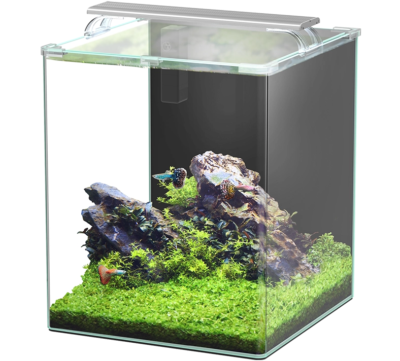 AQUATLANTIS Kubus Curve 65 L Essential nano-aquarium 38 x 38 x 45 cm bords arrondis, éclairage LEDs, filtre et couvercle