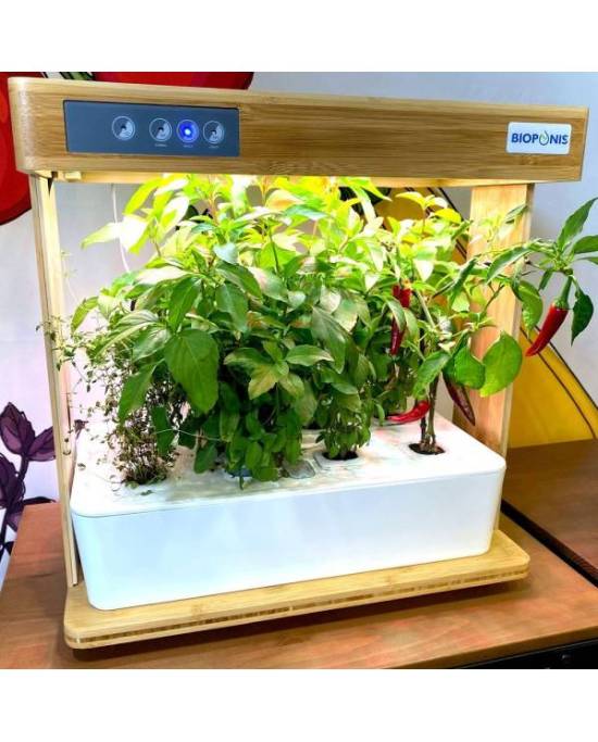 bioponis-bamboo-1-kit-de-culture-hydroponie-pour-la-creation-d-un-mini-potager-d-interieur-2
