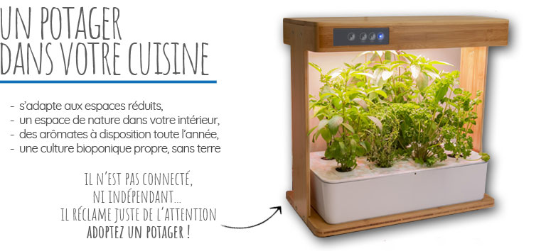 bioponis-bamboo-1-kit-de-culture-hydroponie-pour-la-creation-d-un-mini-potager-d-interieur-3