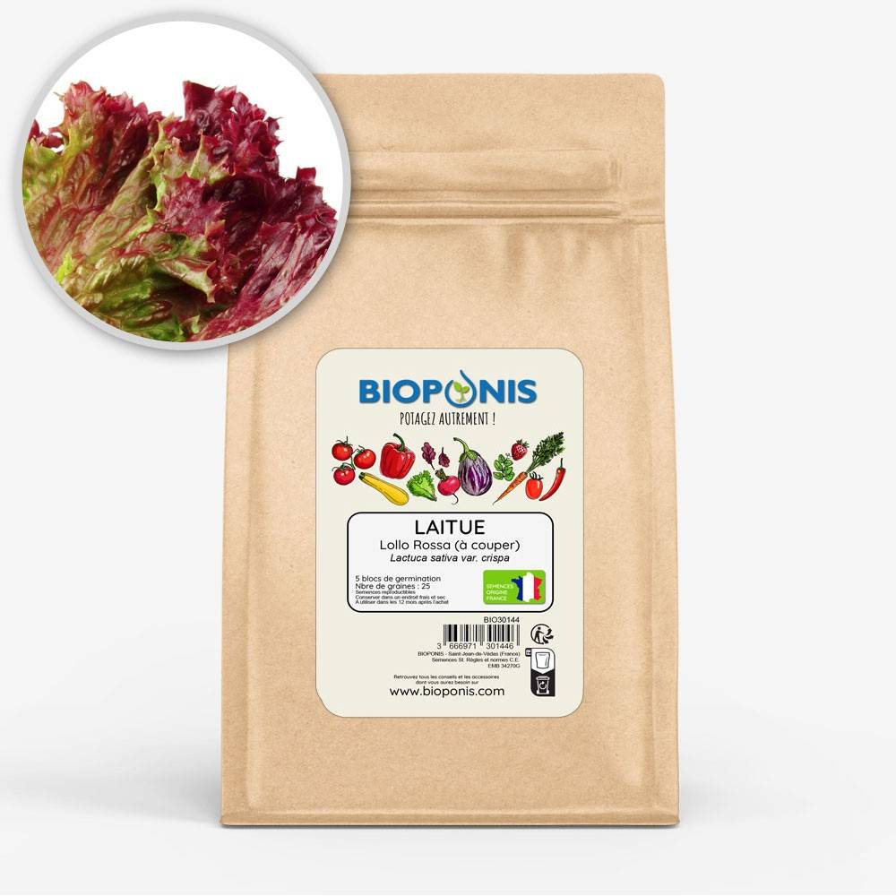 BIOPONIS Laitue à couper Lollo Rossa lot de 5 blocs de germination avec graines prêts à planter