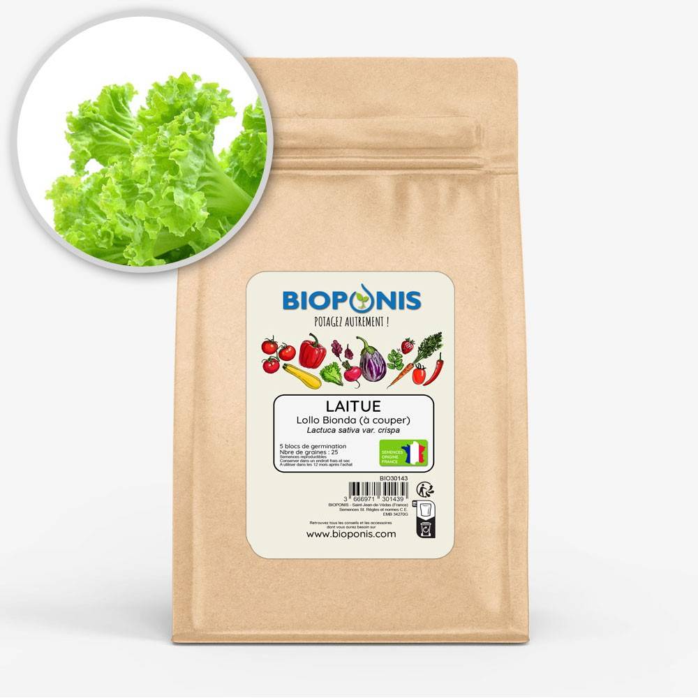 BIOPONIS Laitue à couper Lollo Bionda lot de 5 blocs de germination avec graines prêts à planter