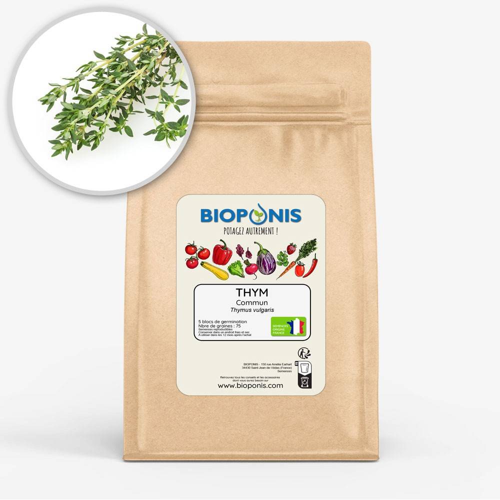 BIOPONIS Thym Commun lot de 5 blocs de germination avec graines prêts à planter