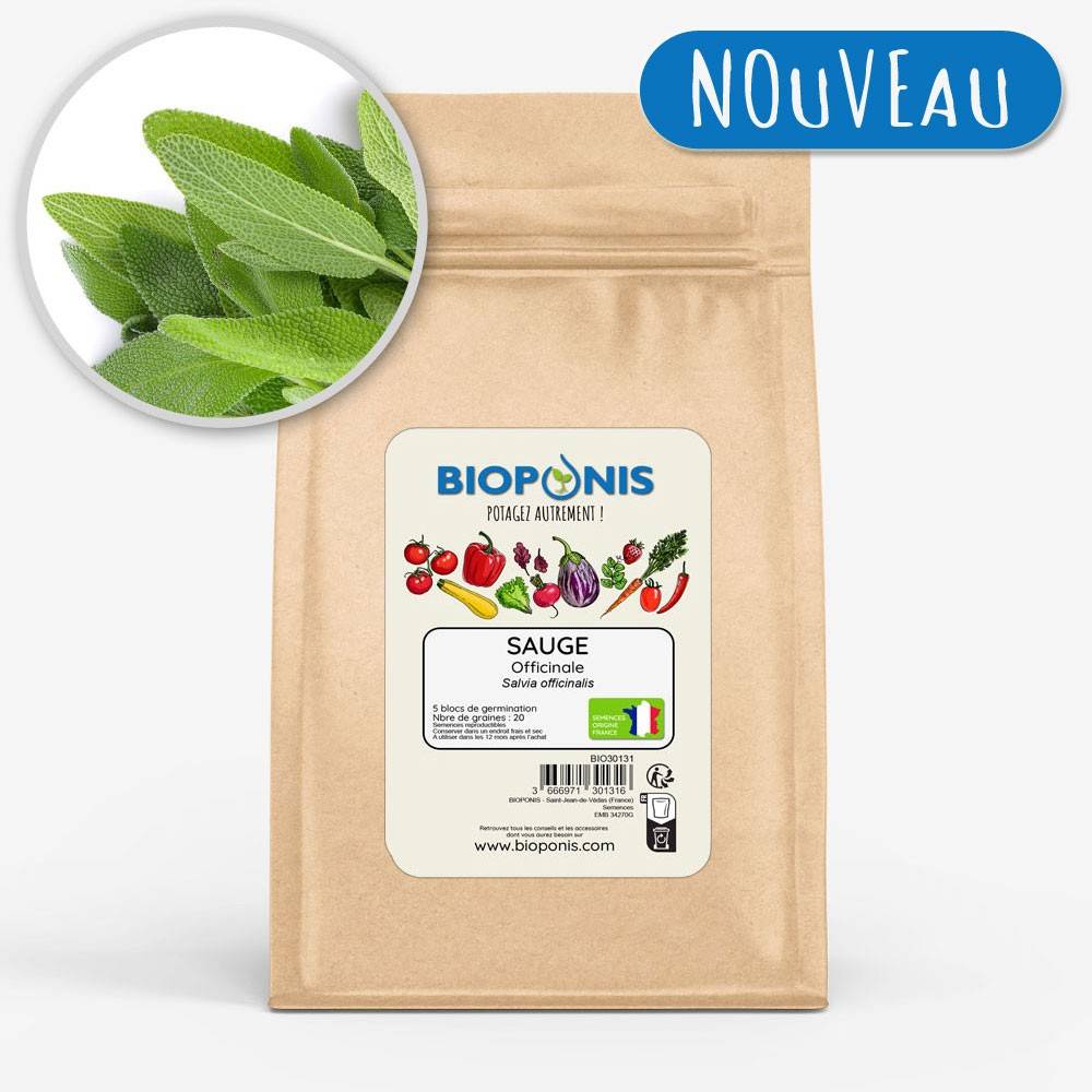 BIOPONIS Sauge Officinale lot de 5 blocs de germination avec graines prêts à planter