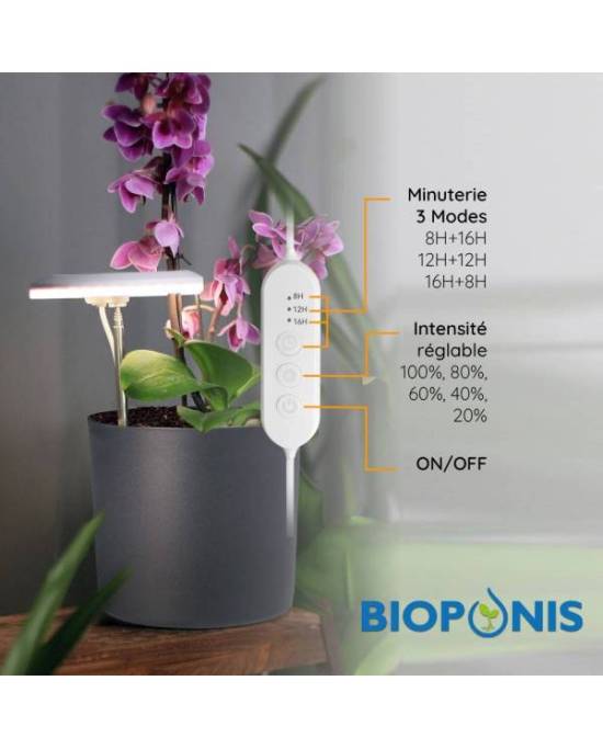 bioponis-o-rchid-light-eclairage-led-special-orchidee