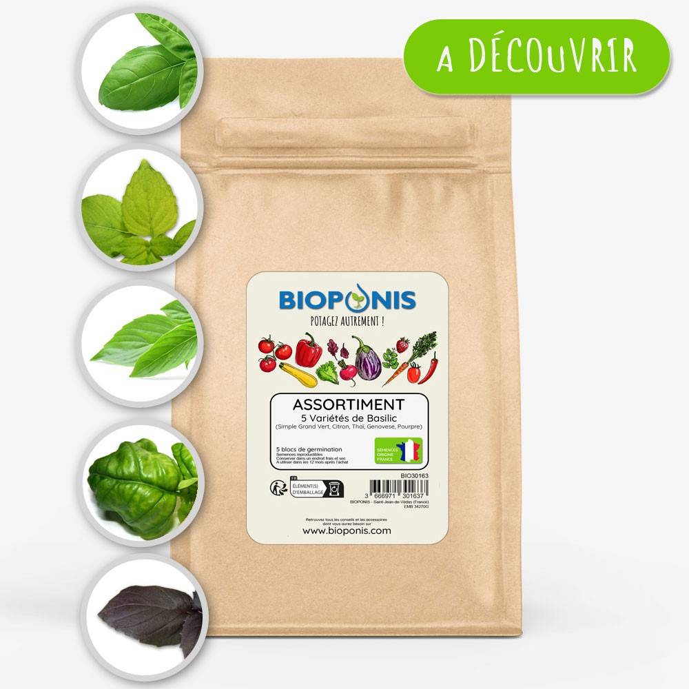 BIOPONIS Assortiment 5 variétés de basilic lot de 5 blocs de germination avec graines prêts à planter
