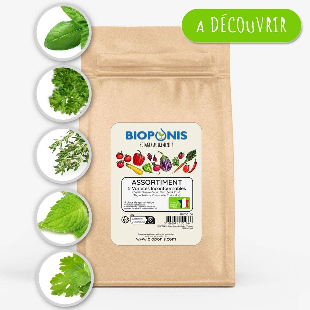 BIOPONIS Assortiment 5 variétés incontournables lot de 5 blocs de germination avec graines prêts à planter